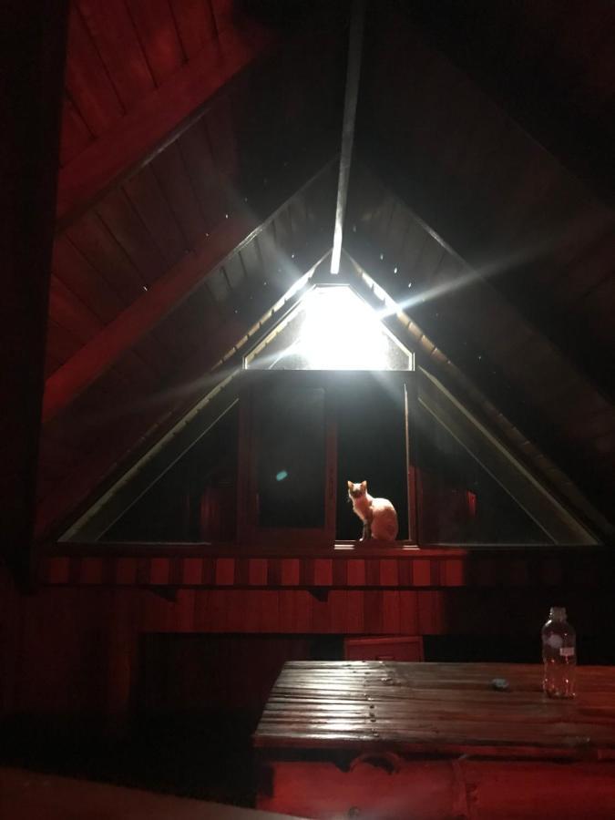 테나 The Roadhouse B&B 외부 사진